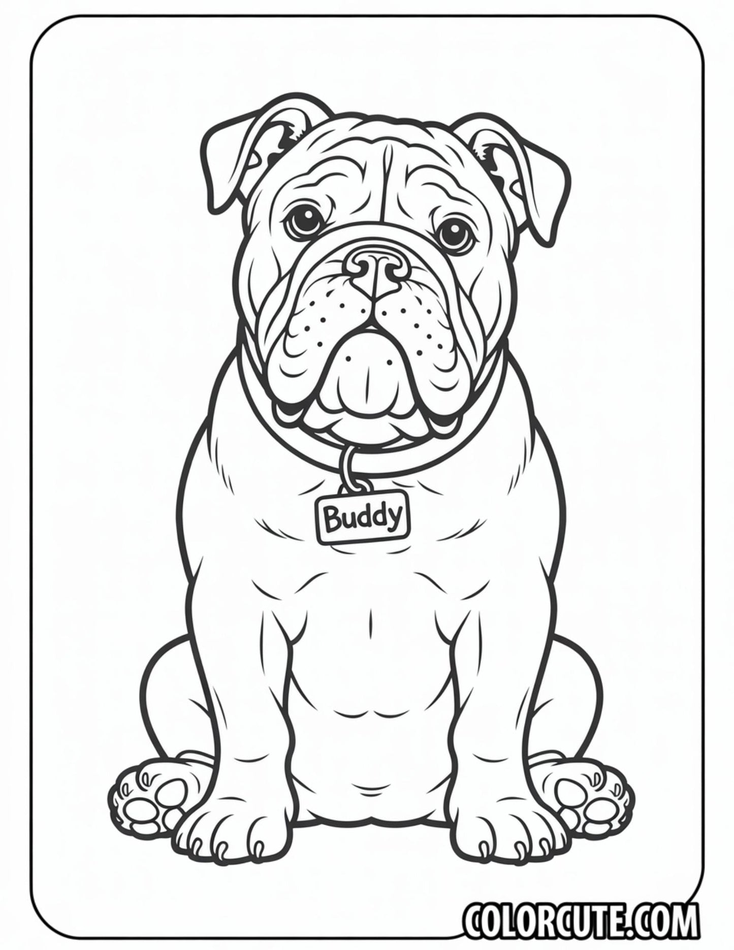 Bulldog Sitting Coloring Page | Free PDF Printables