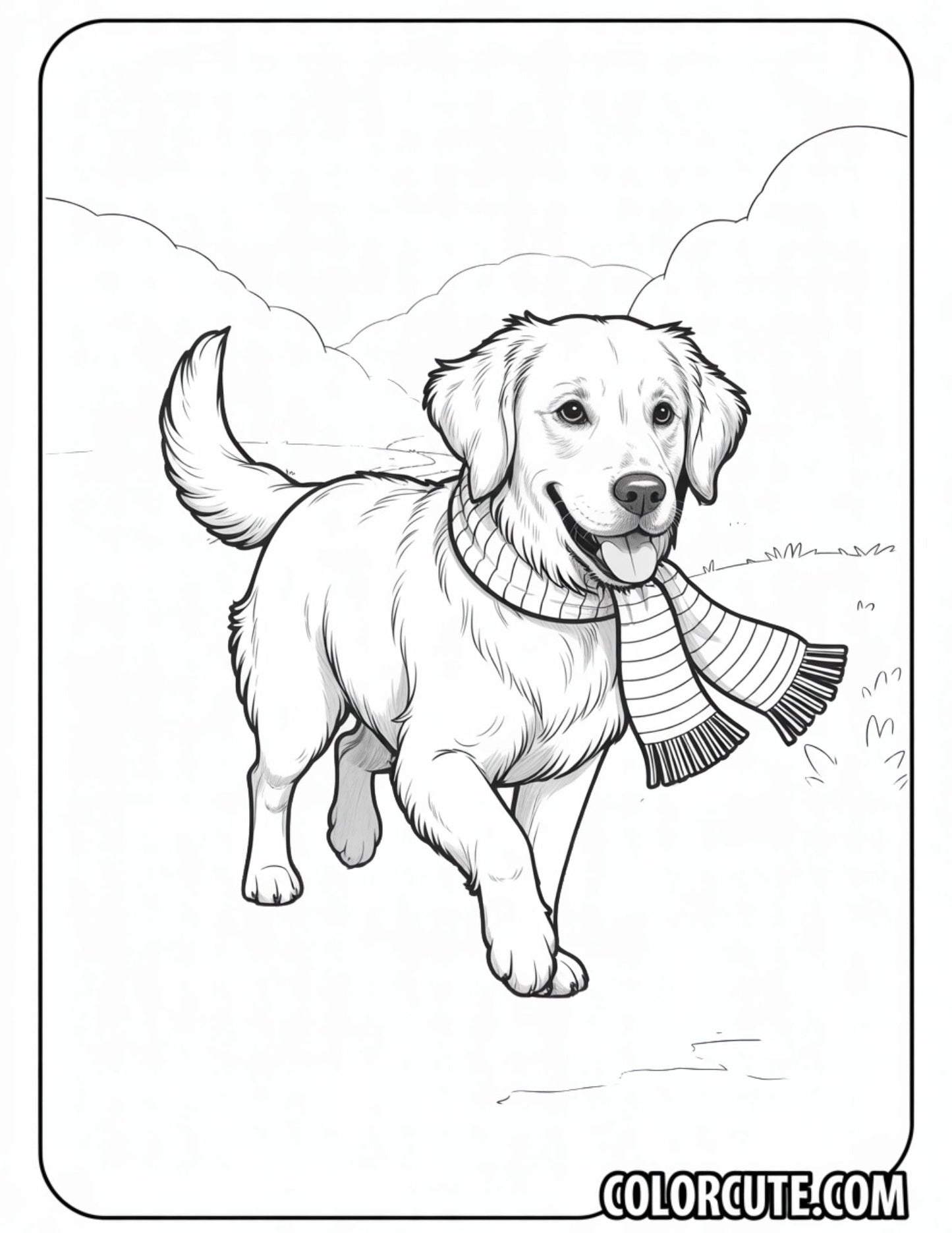 Golden Retriever with a Scarf Coloring Page | Free PDF Printables