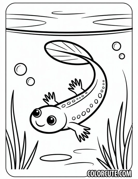 Tadpole Frog Coloring Pages | Free PDF Printables