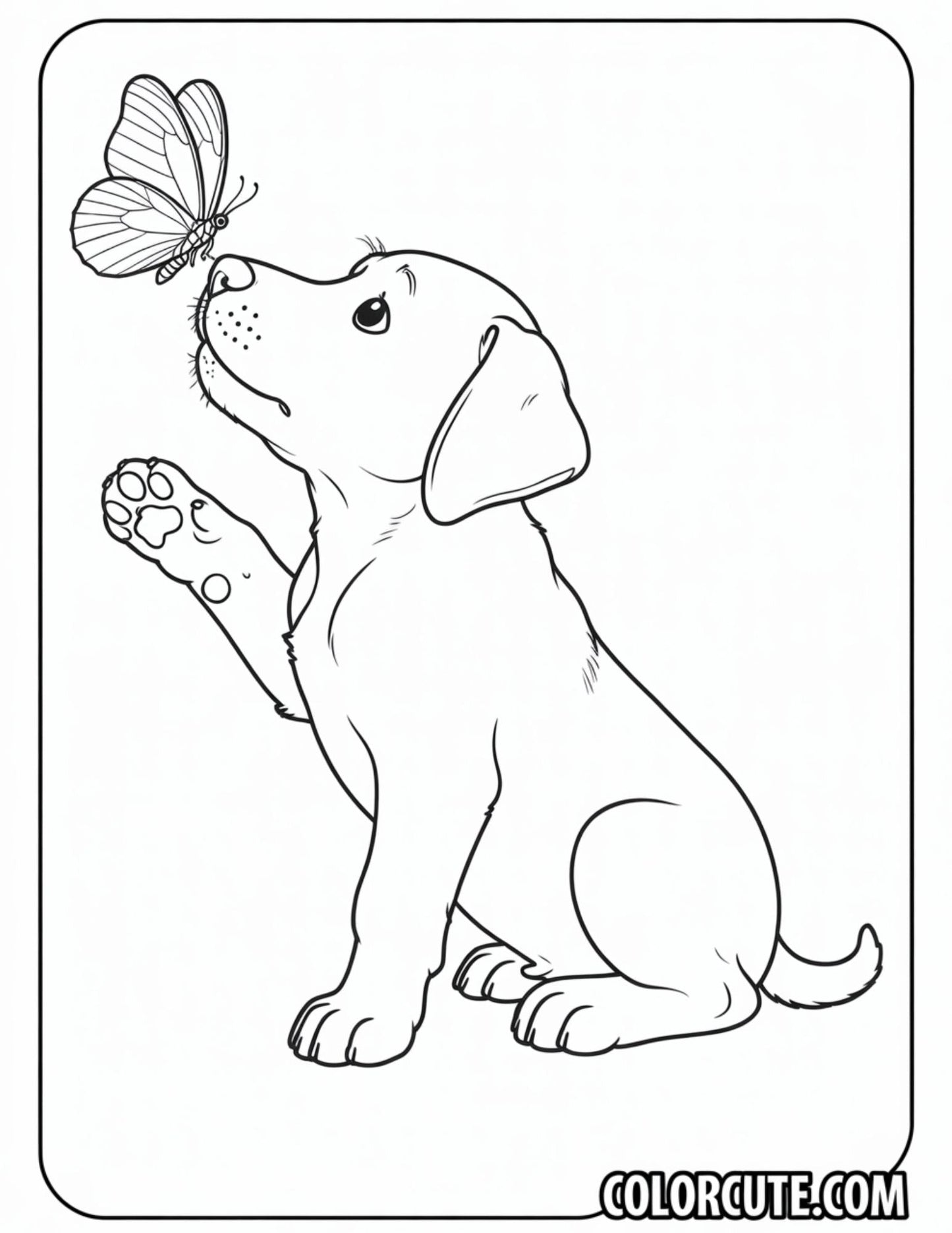 Puppy Looking at a Butterfly Coloring Page | Free PDF Printables