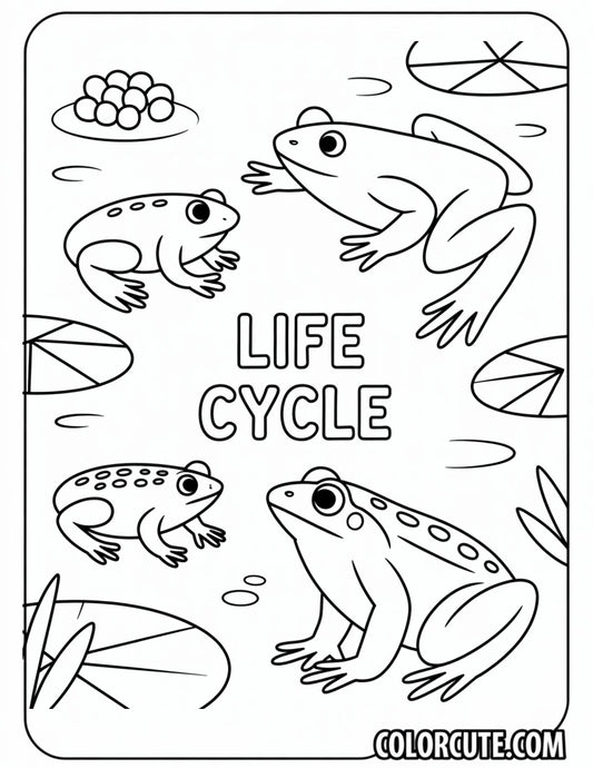 Life Cycle Frog Coloring Pages | Free PDF Printables