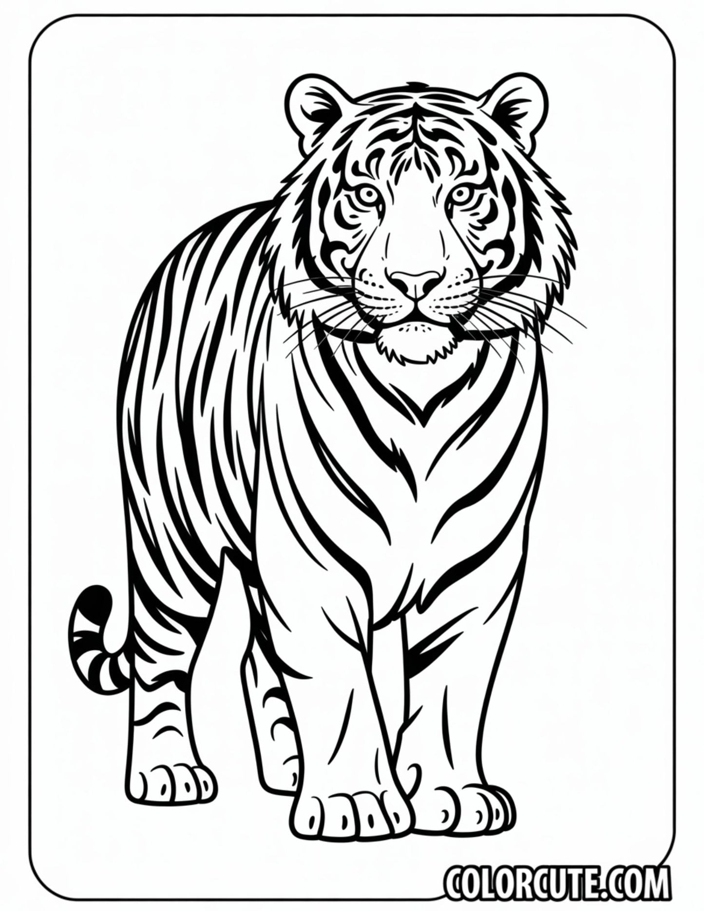 Bengal Tiger Coloring Pages | Free PDF Printables