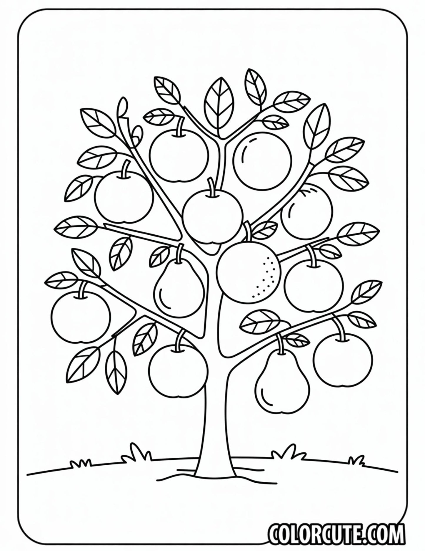 Fruit Tree Coloring Pages - Free PDF Printables