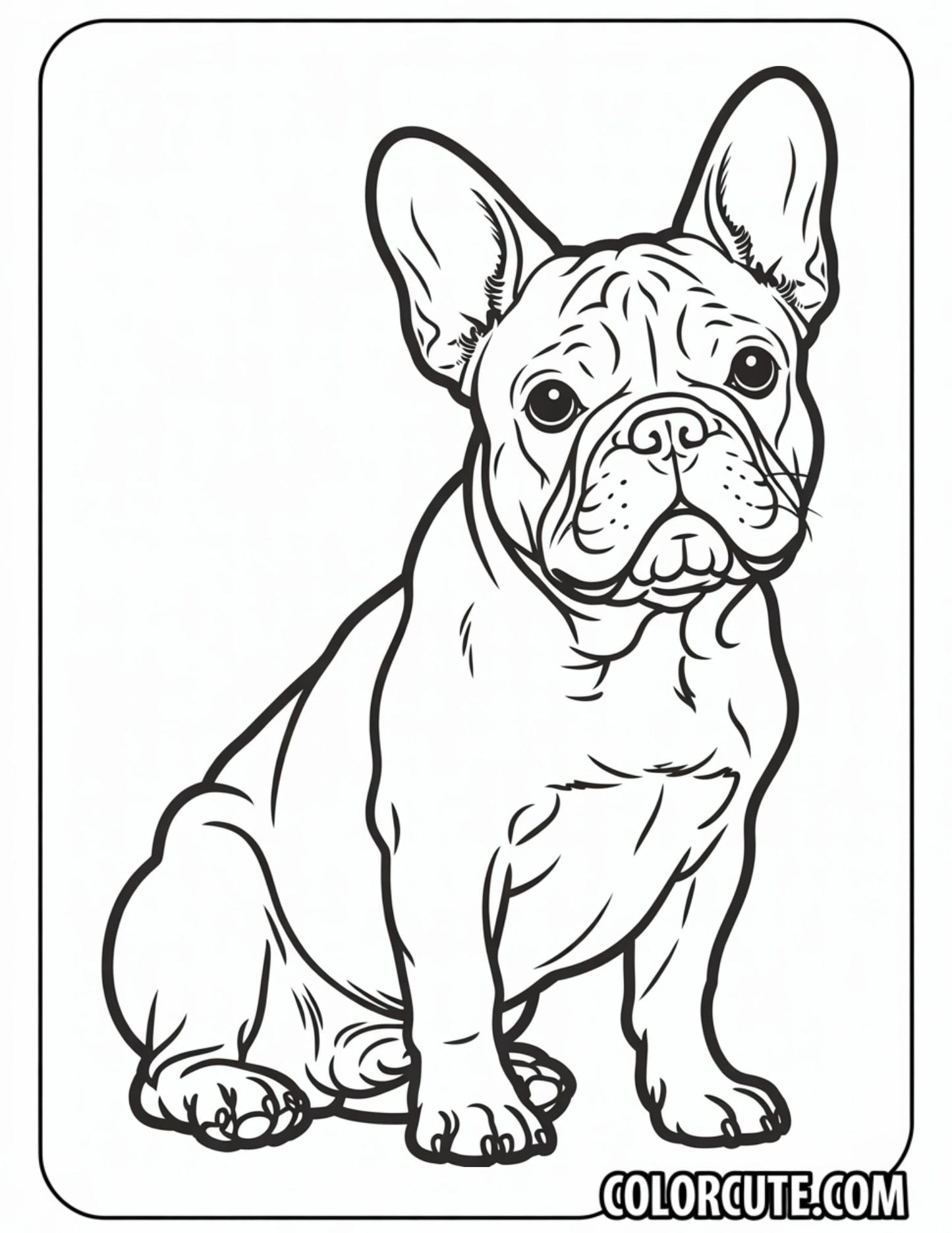 French Bulldog Coloring Page | Free PDF Printables