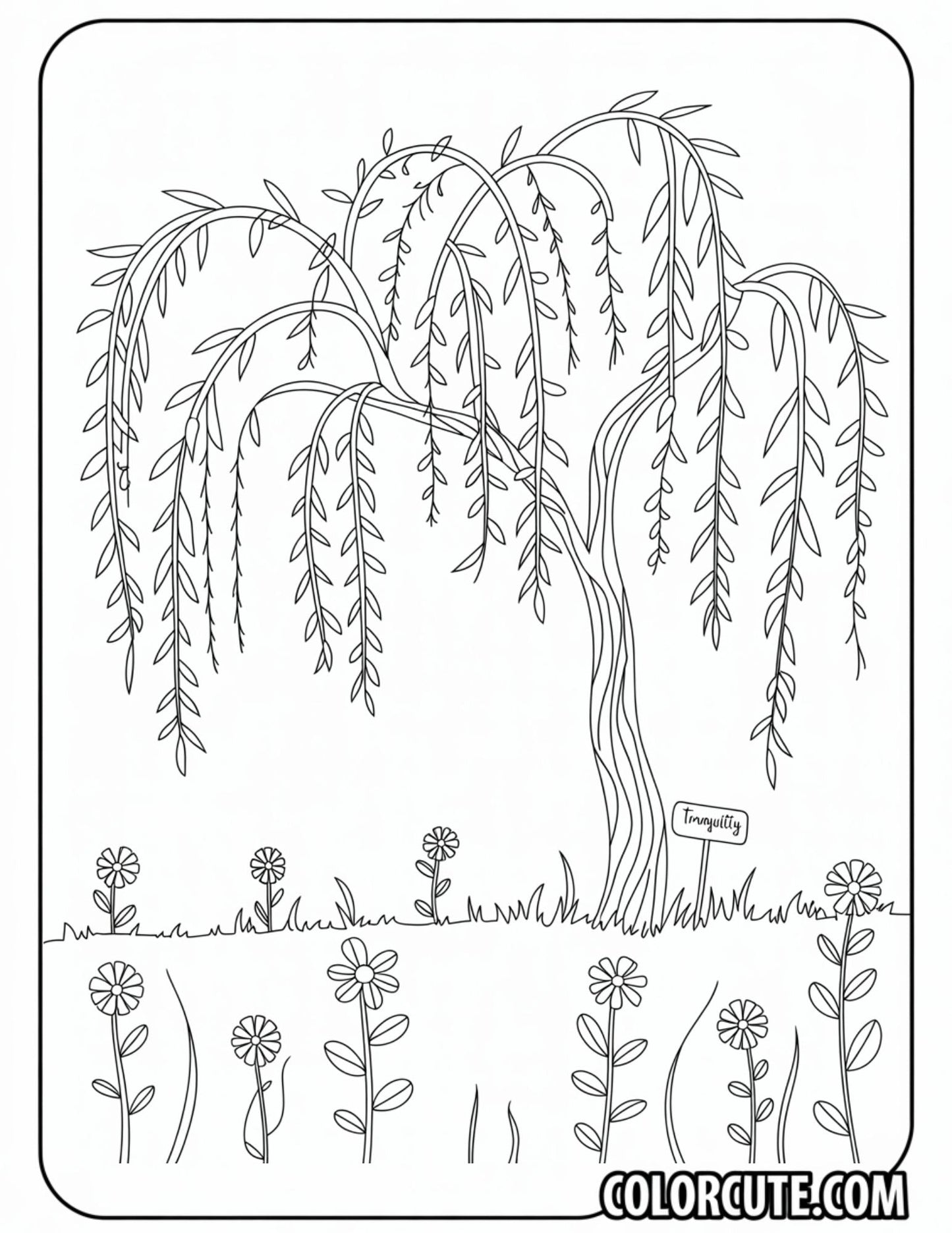 Willow Tree Coloring Pages - Free PDF Printables