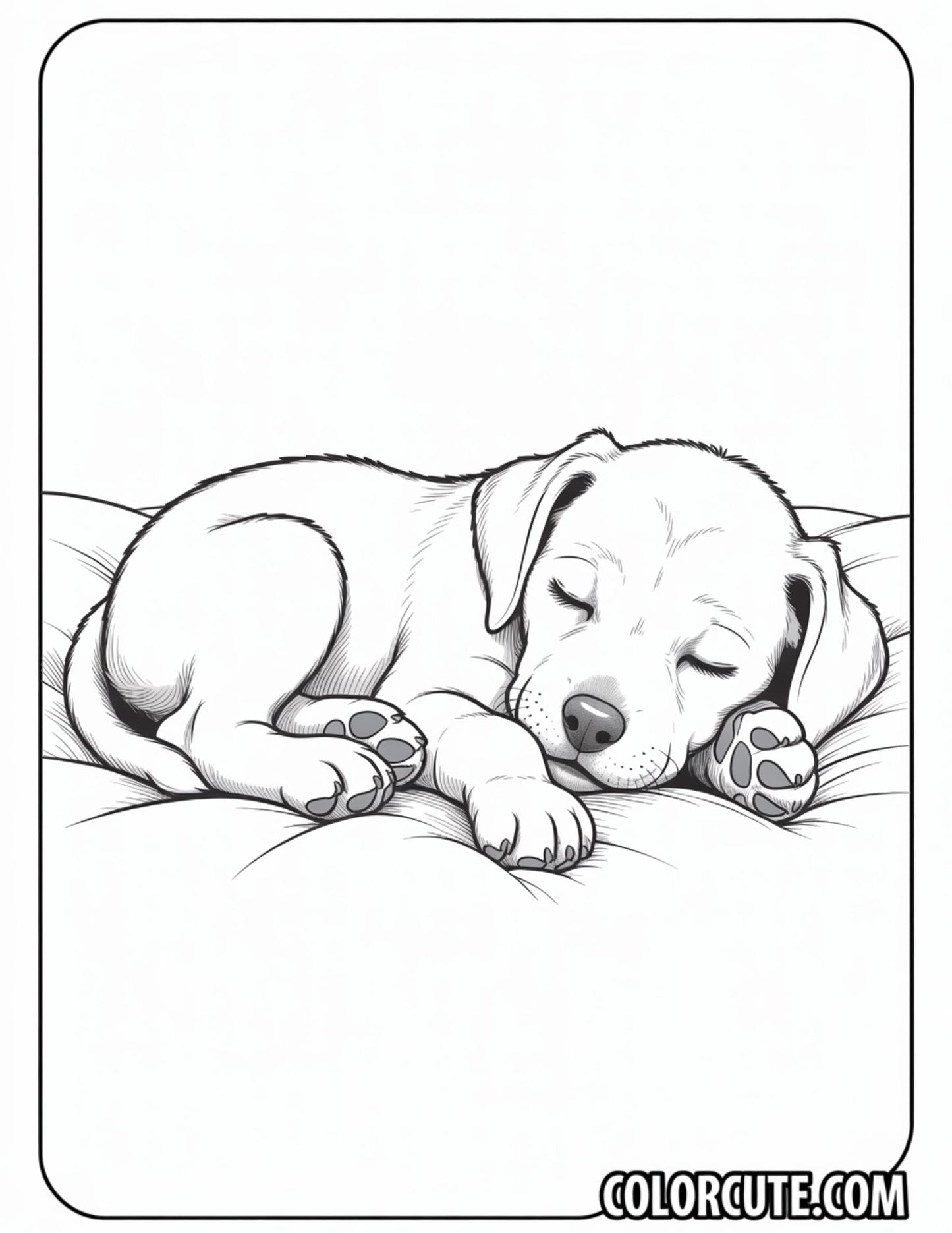 Sleeping Puppy Coloring Page | Free PDF Printables