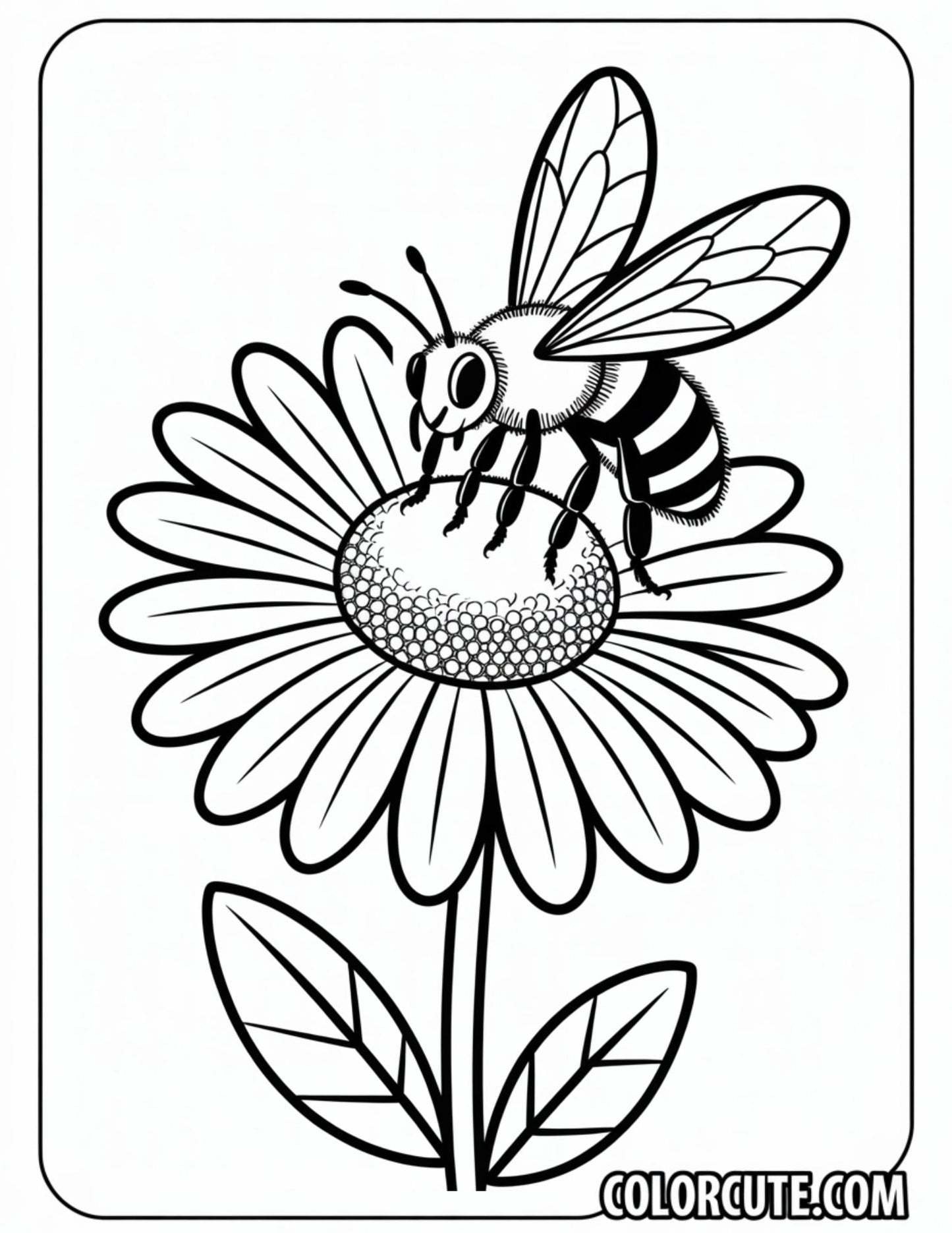 Flower Bee Coloring Page – Free PDF Printables