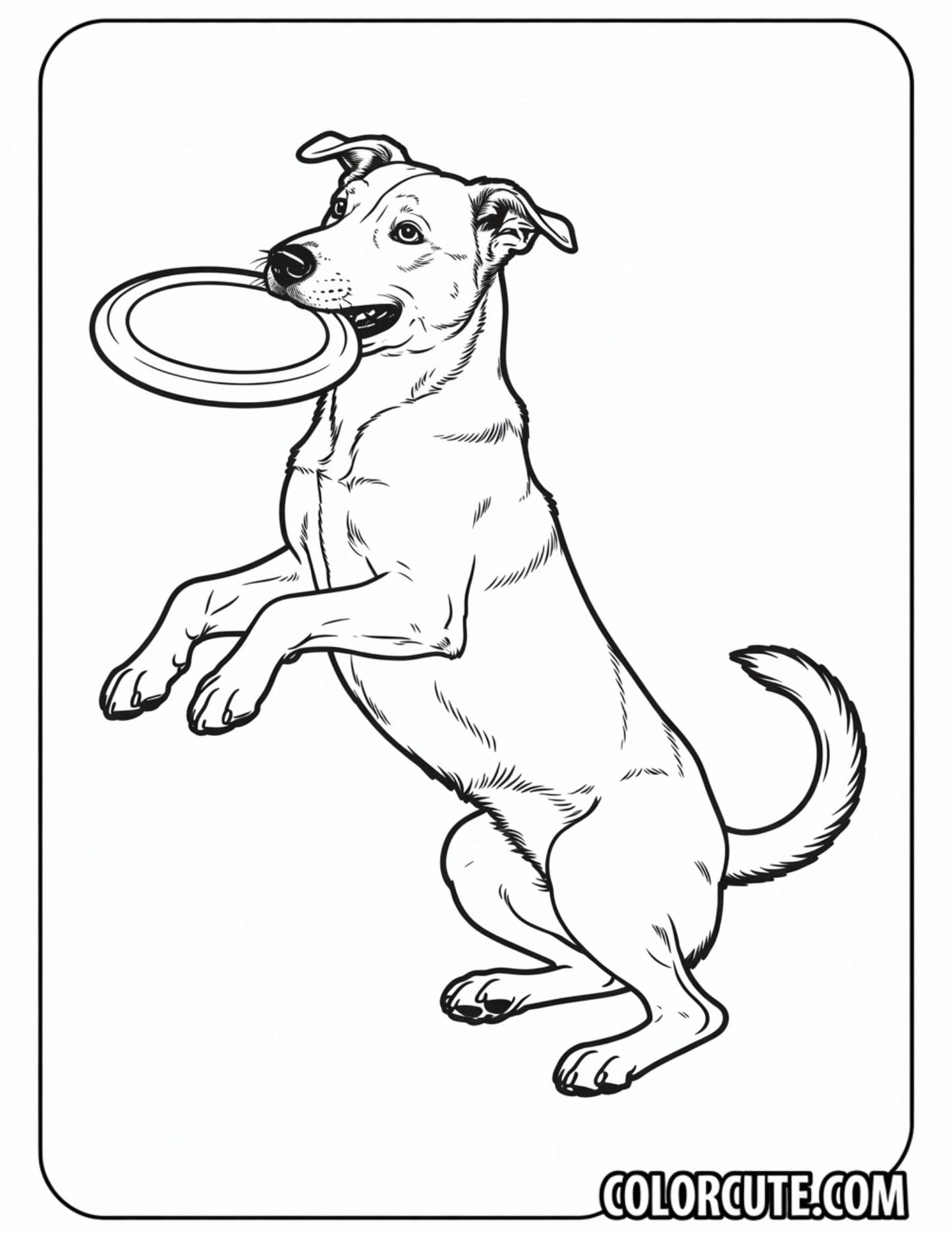 Dog Jumping for a Frisbee Coloring Page | Free PDF Printables