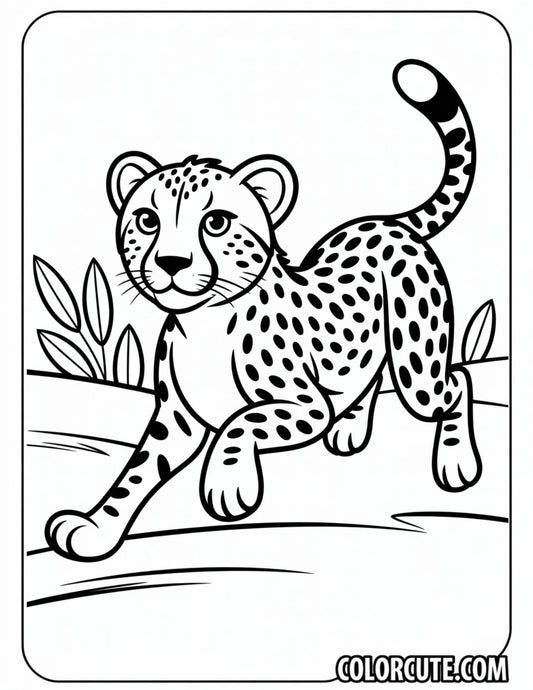 Cheetah Running Coloring Pages | Free PDF Printables