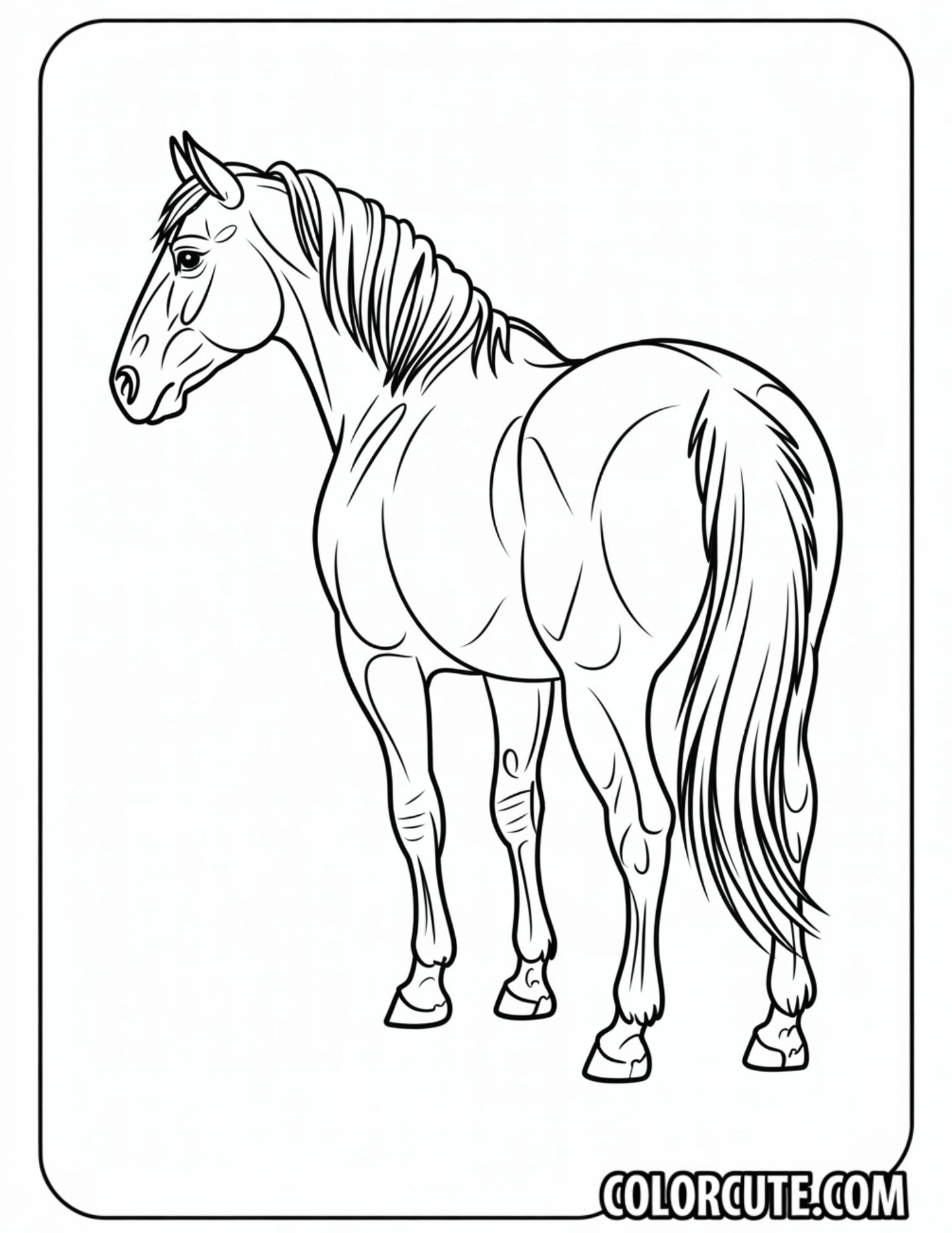 Realistic Horse Coloring Pages | Free PDF Printables