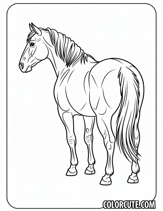 Realistic Horse Coloring Pages | Free PDF Printables