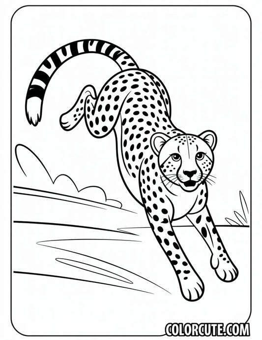Cheetah Jumping Coloring Pages | Free PDF Printables