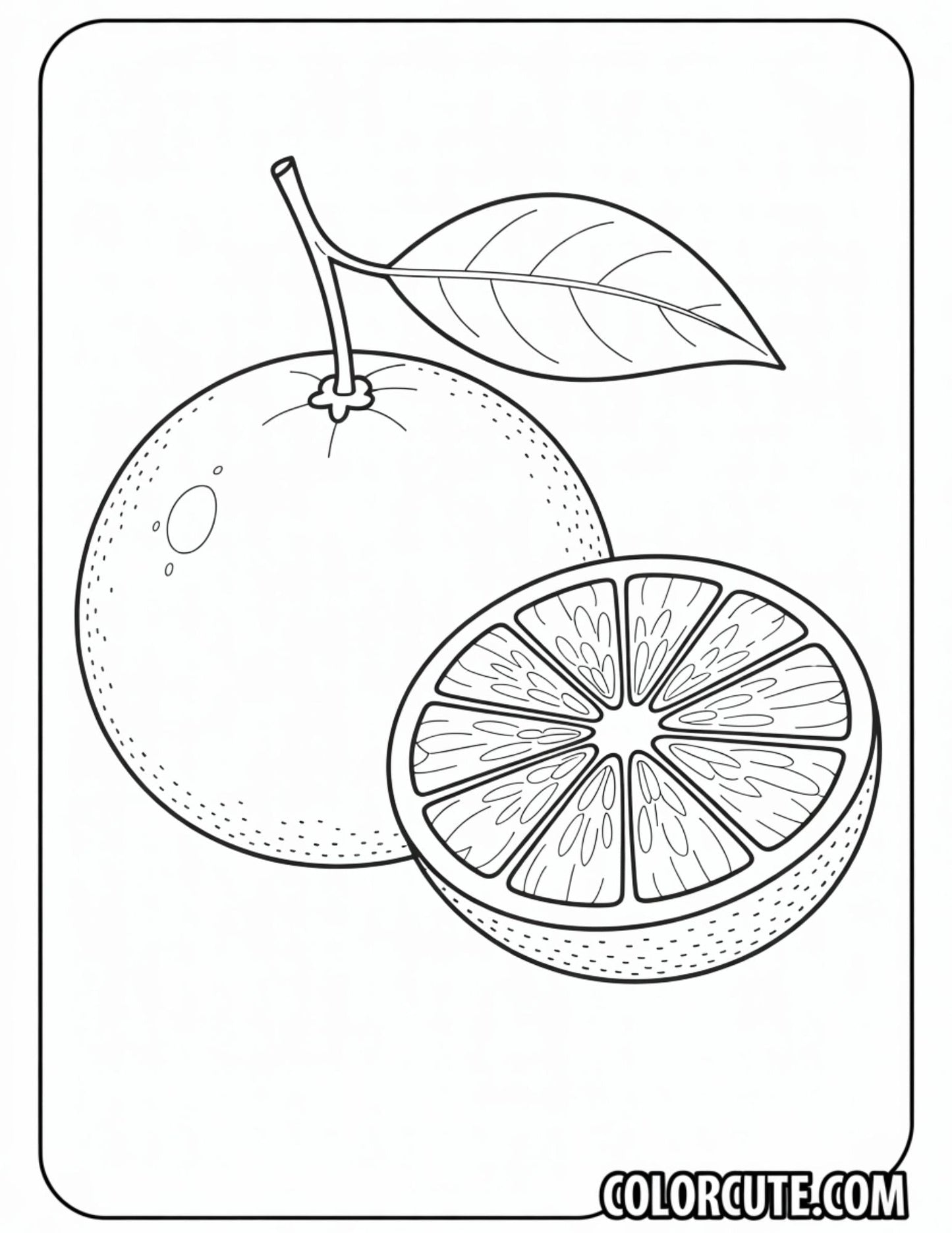 Orange Coloring Page | Free PDF Printables