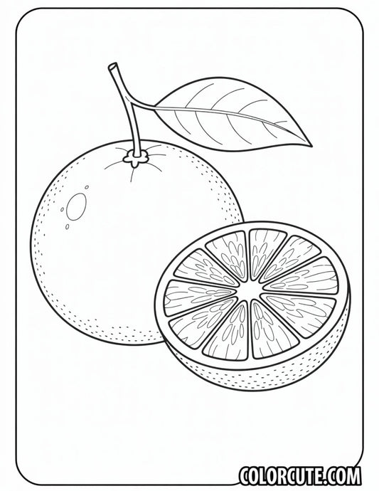 Orange Coloring Page | Free PDF Printables