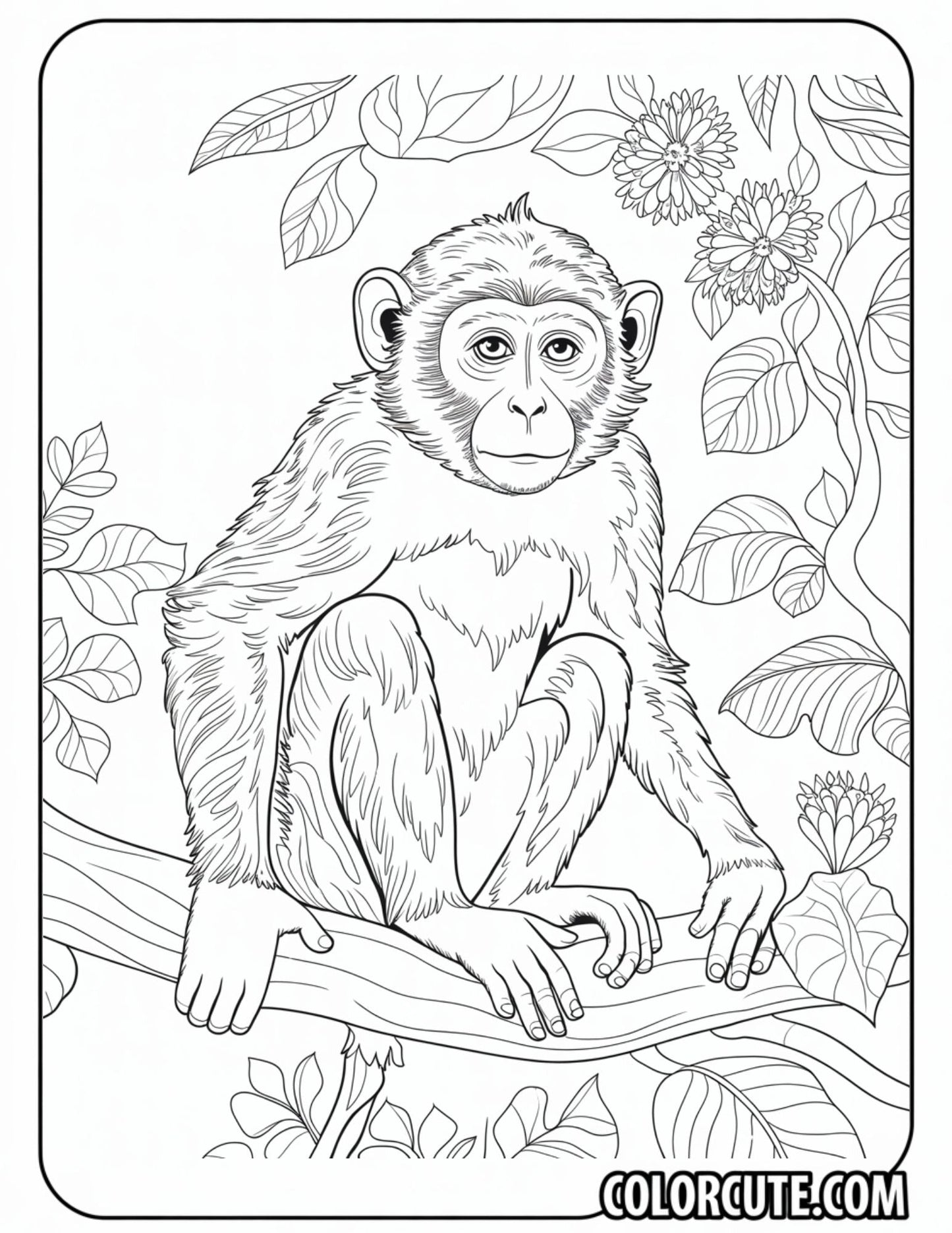 Chimpanzee Monkey Coloring Page Free PDF Printables