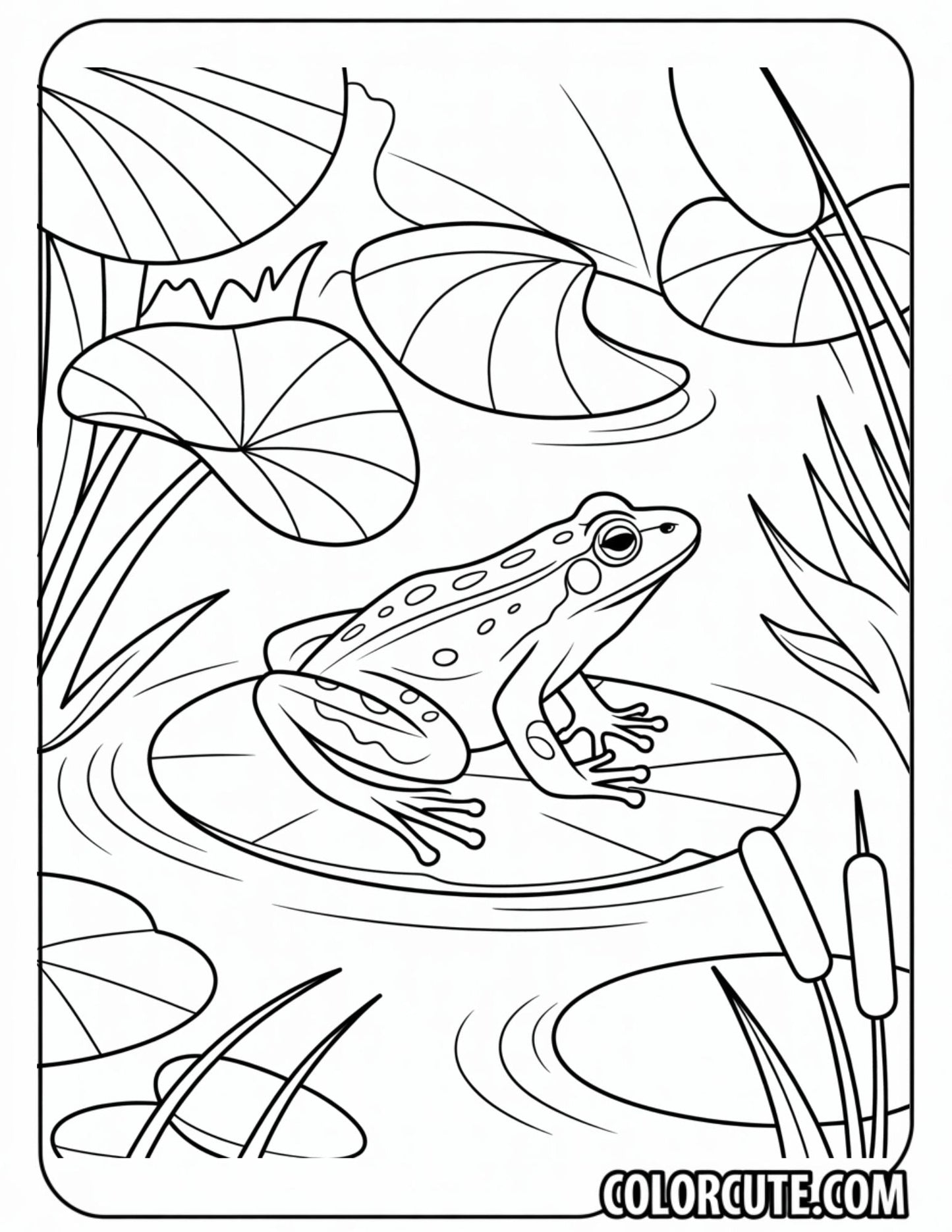 Rainforest Frog Coloring Pages | Free PDF Printables