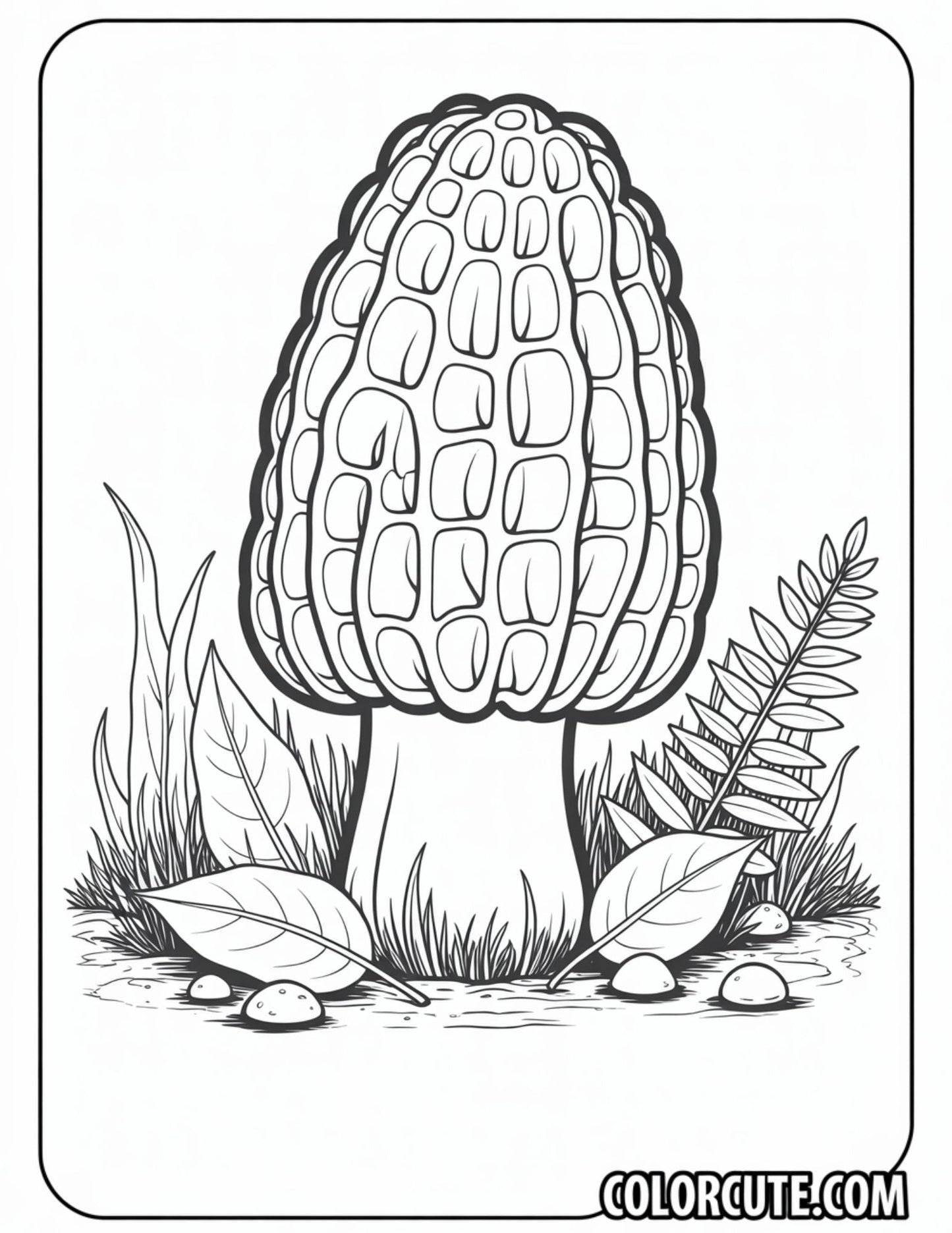 Morel Mushroom Coloring Pages | Free PDF Printables