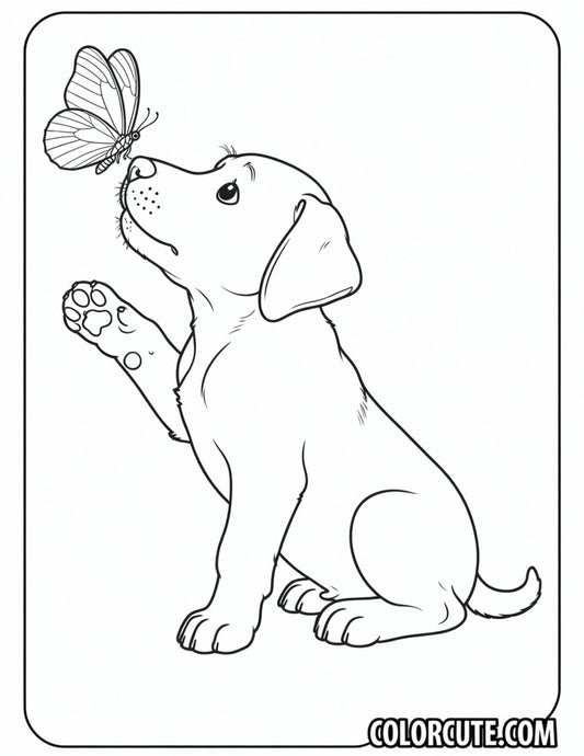 Puppy Looking at a Butterfly Coloring Page | Free PDF Printables