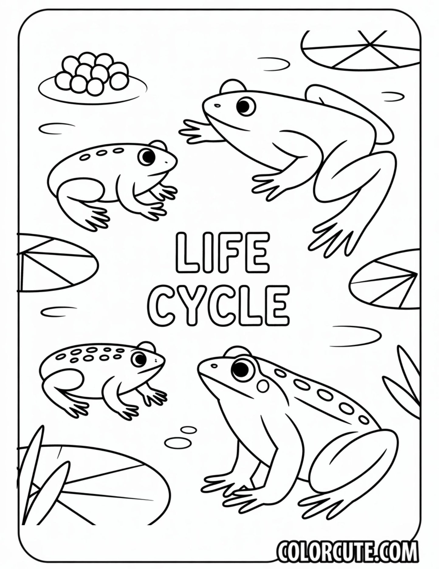 Life Cycle Frog Coloring Pages | Free PDF Printables