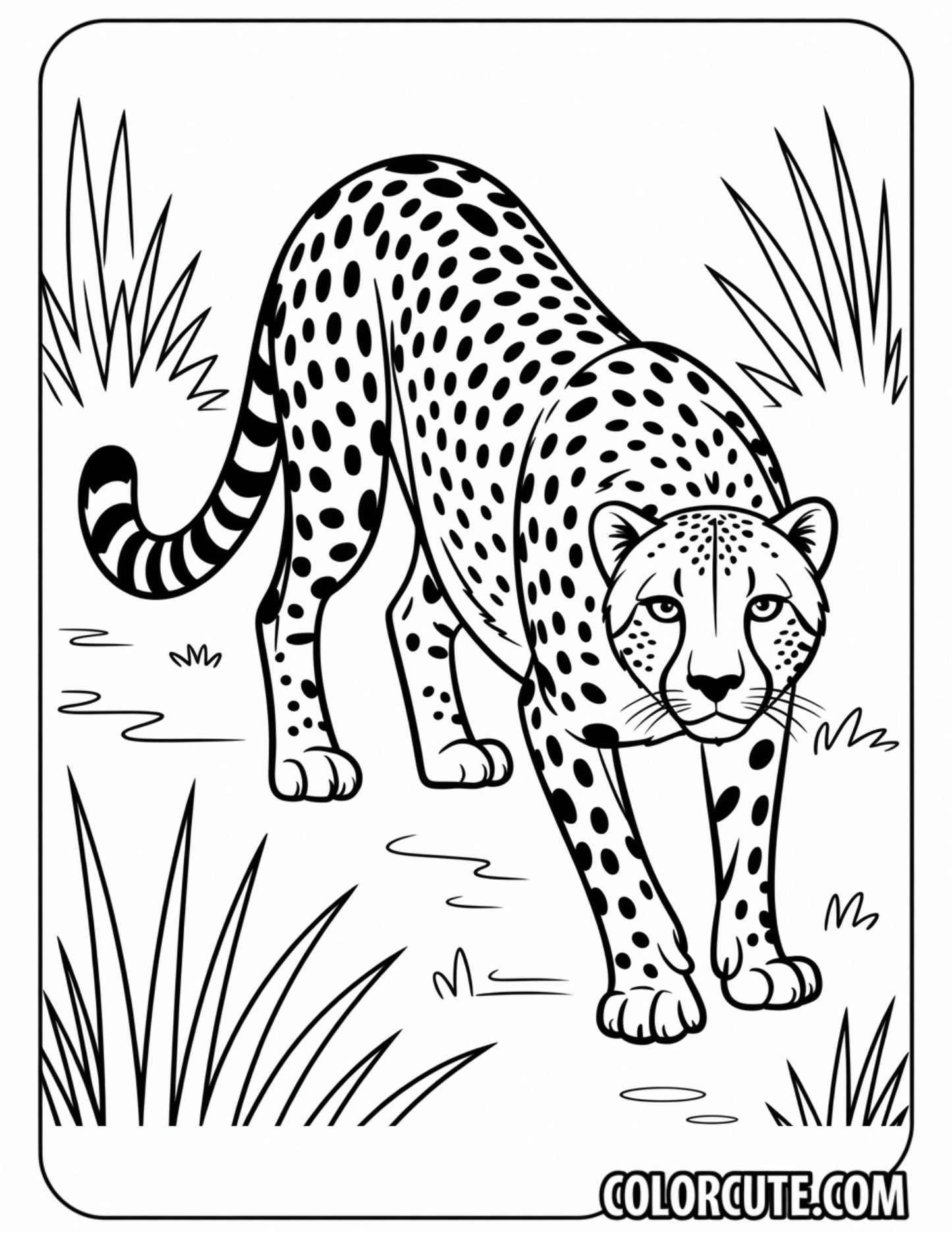 Cheetah Resting Coloring Pages | Free PDF Printables