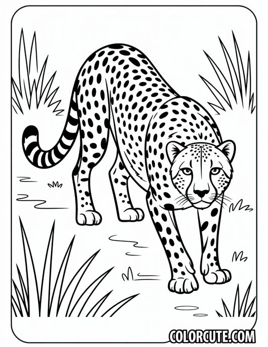 Cheetah Resting Coloring Pages | Free PDF Printables