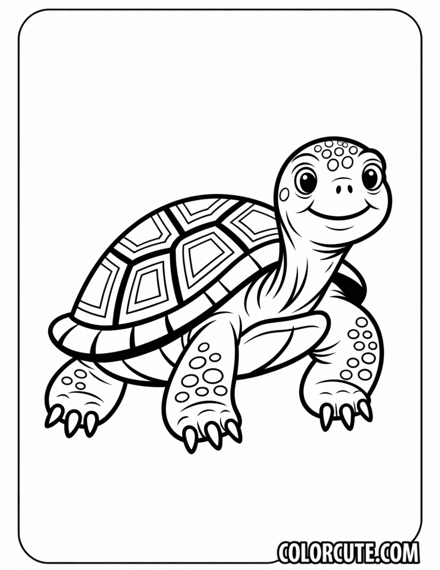 Old Turtle Coloring Pages | Free PDF Printables