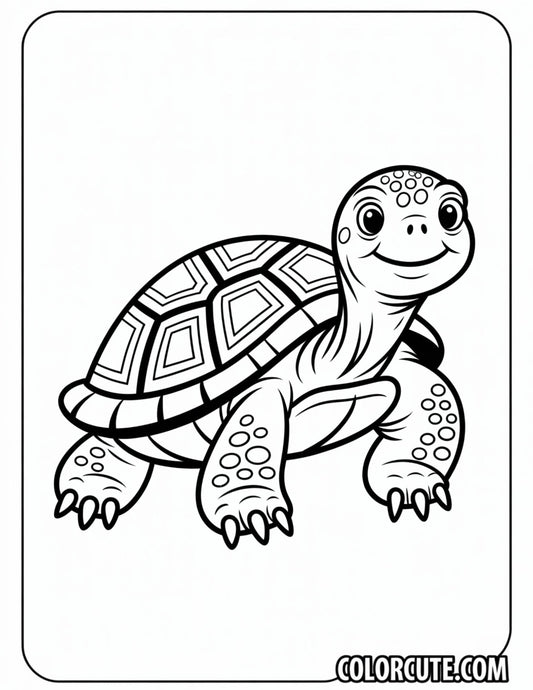 Old Turtle Coloring Pages | Free PDF Printables