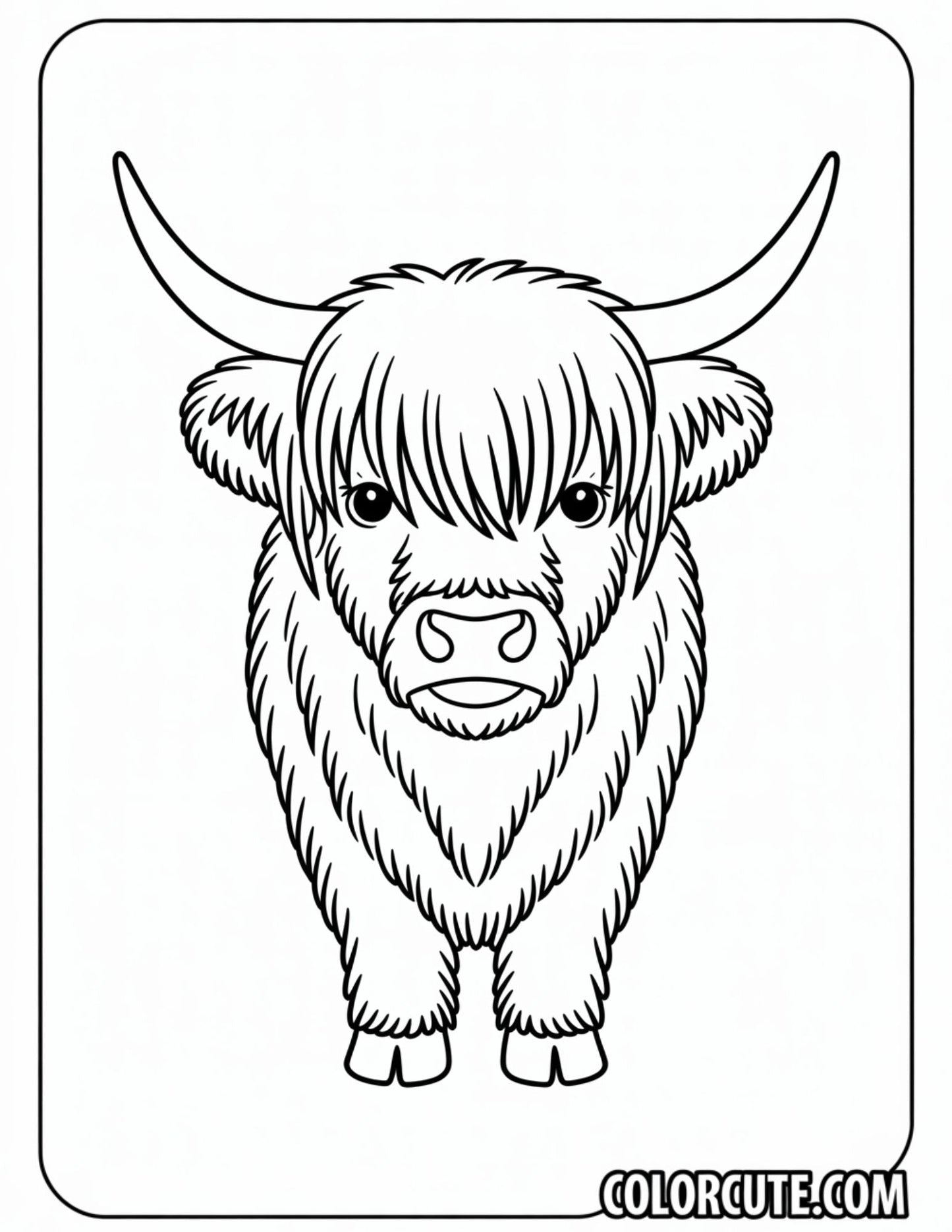 Highland Cow Coloring Pages | Free PDF Printables