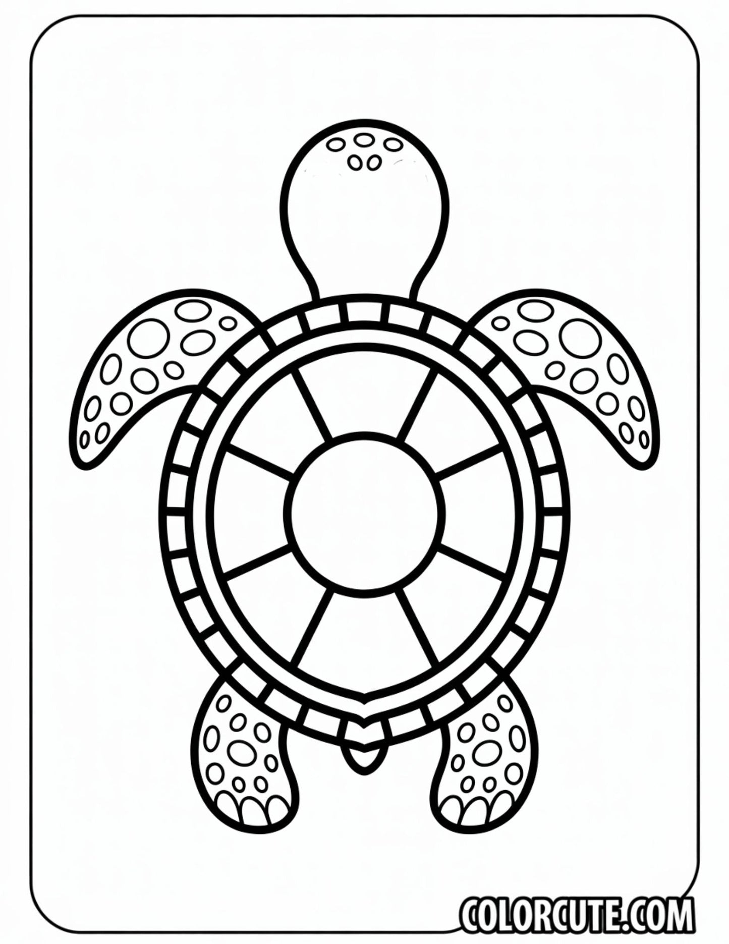 Preschool Turtle Coloring Pages | Free PDF Printables