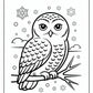 Snowy Owl Coloring Pages | Free PDF Printables