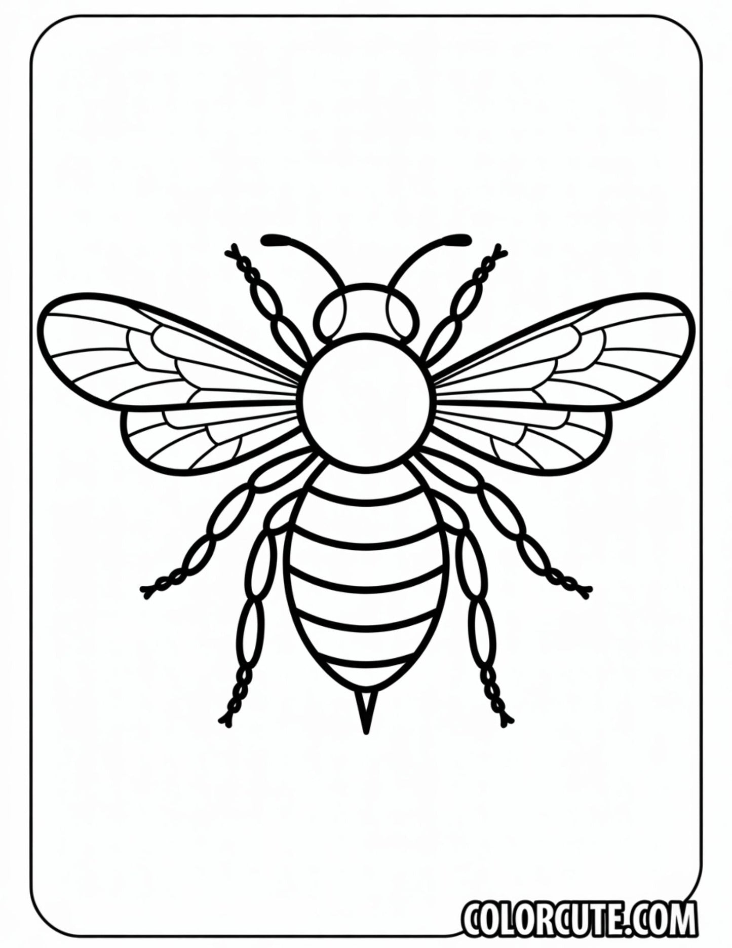 Adult Bee Coloring Page – Free PDF Printables