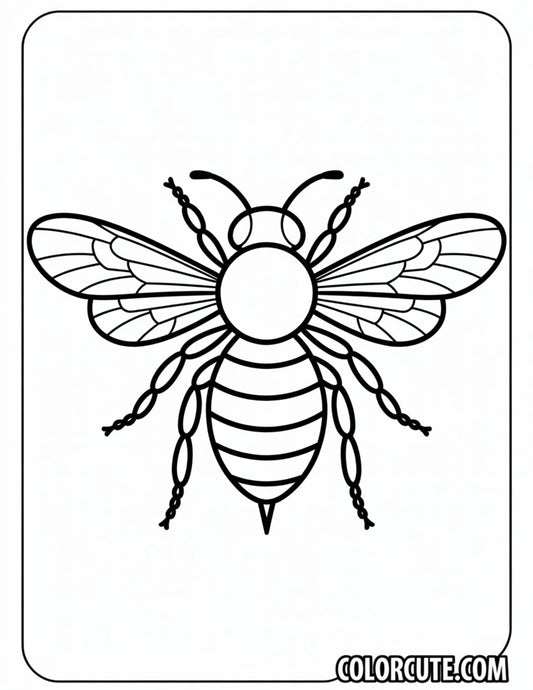 Adult Bee Coloring Page – Free PDF Printables
