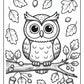 Fall Owl Coloring Pages | Free PDF Printables