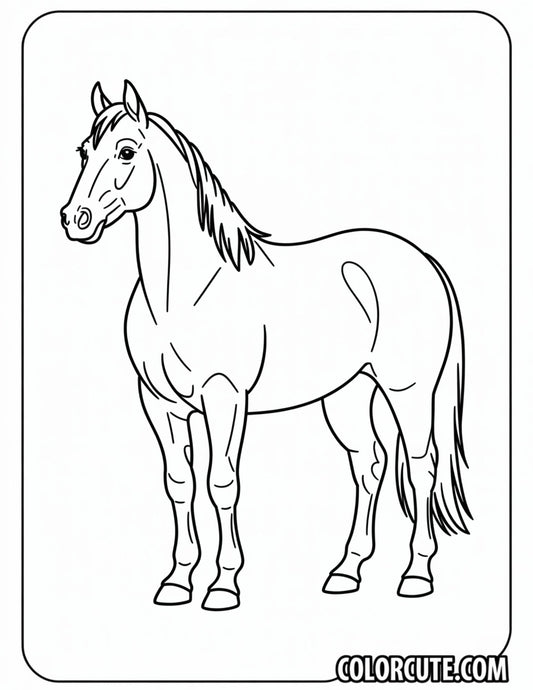 Quarter Horse Coloring Pages | Free PDF Printables
