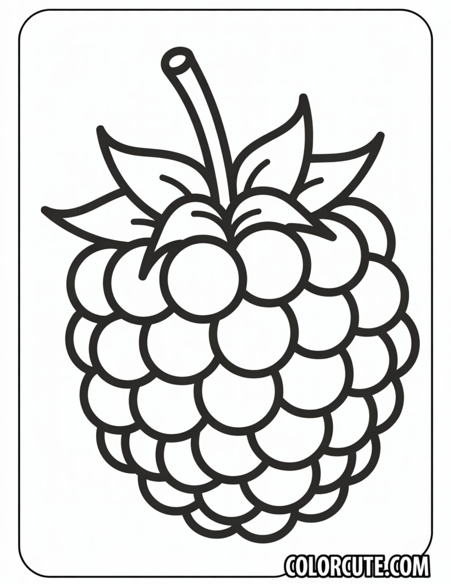 Raspberry Coloring Page | Free PDF Printables – Color Cute - Free ...