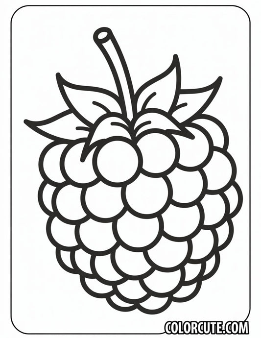 Raspberry Coloring Page | Free PDF Printables