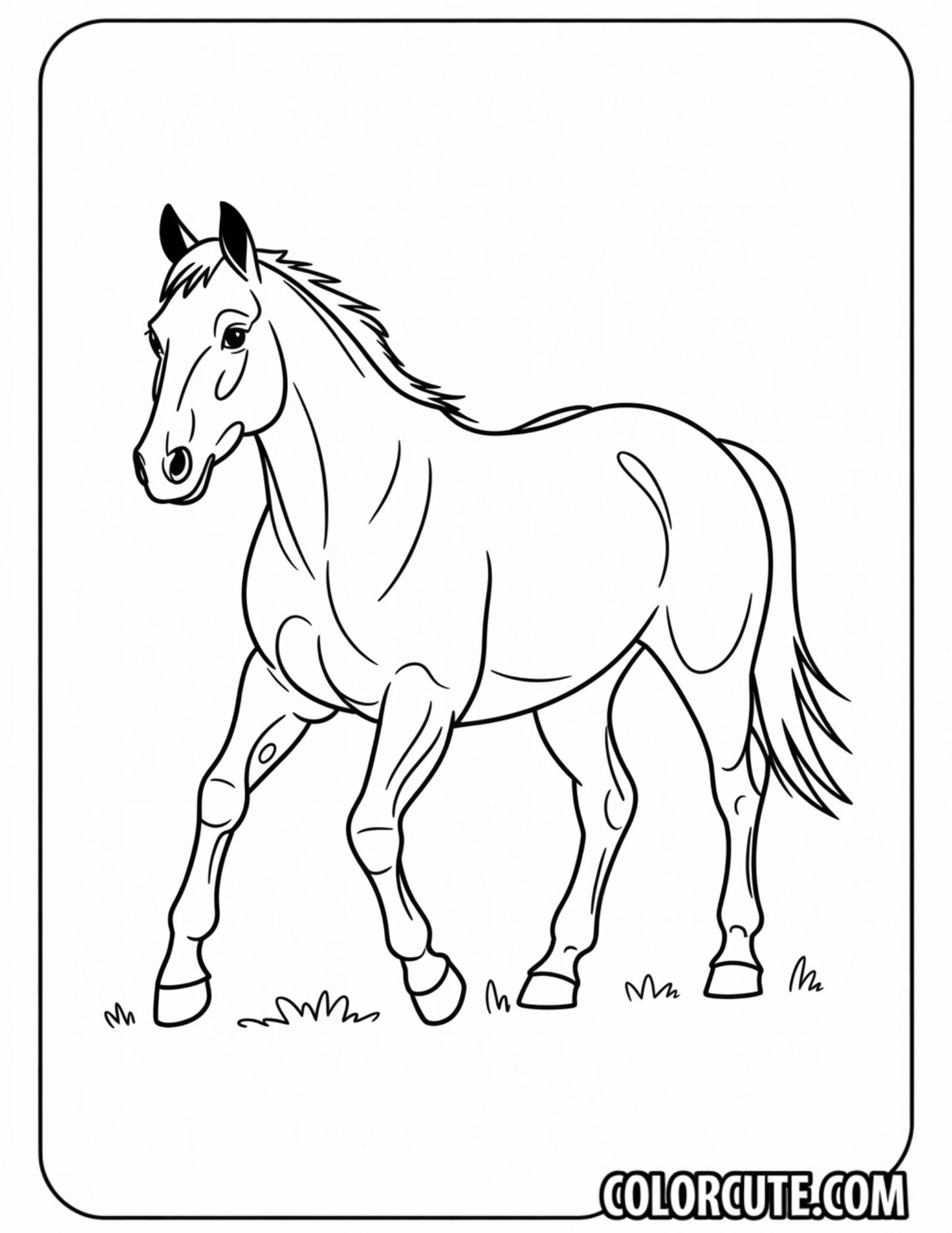 Morgan Horse Coloring Pages | Free PDF Printables