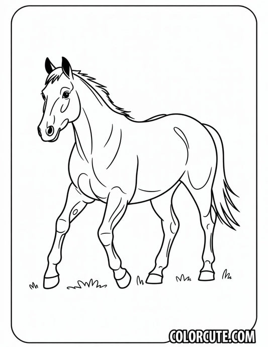 Morgan Horse Coloring Pages | Free PDF Printables