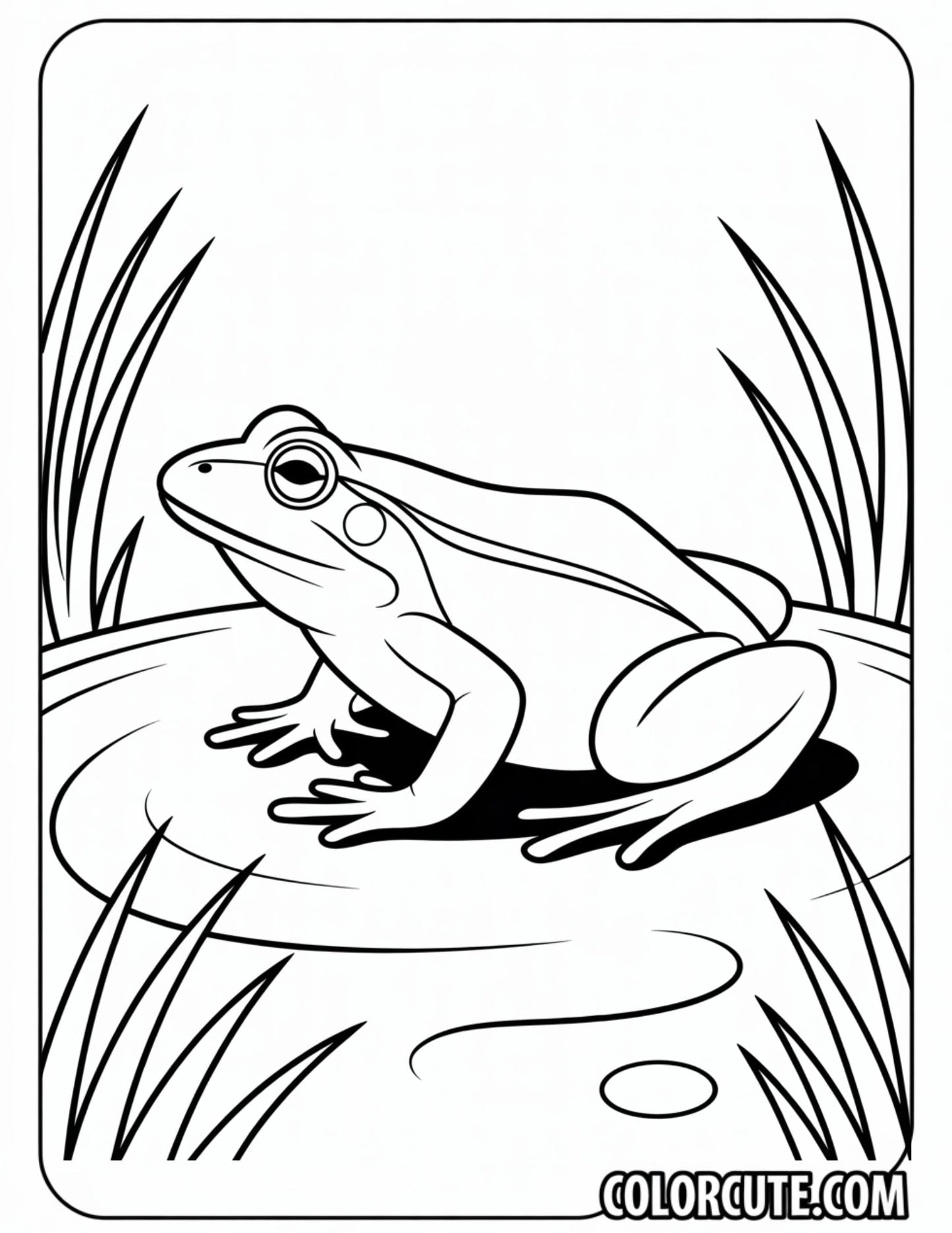 Realistic Frog Coloring Pages | Free PDF Printables