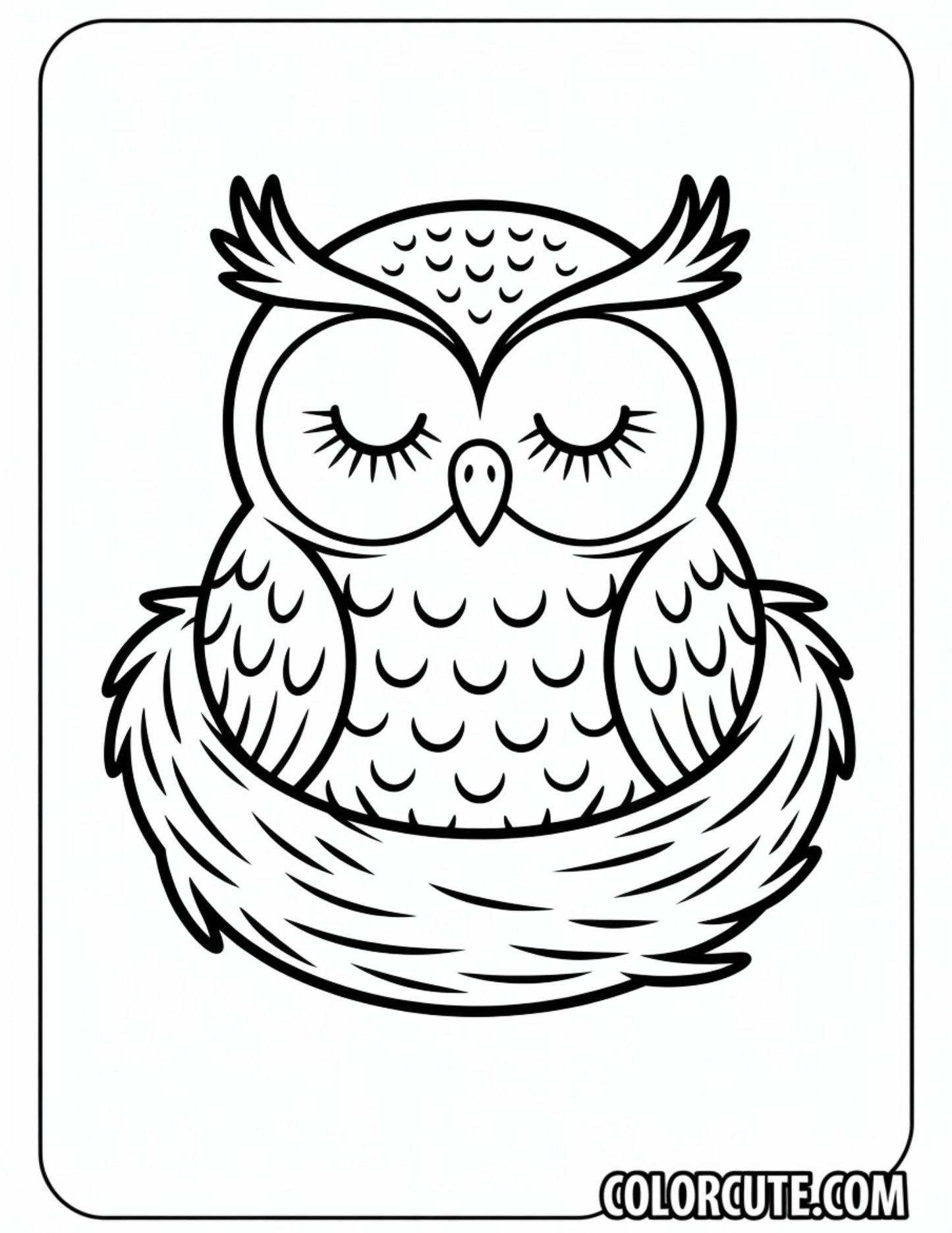 Sleeping Owl Coloring Pages | Free PDF Printables