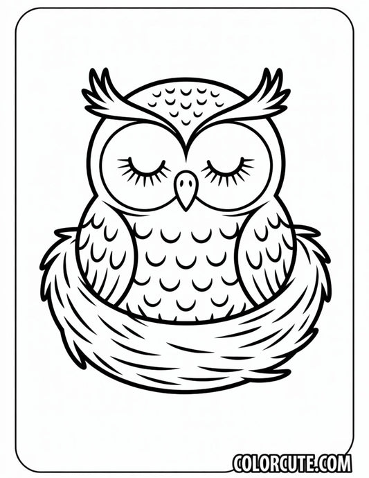 Sleeping Owl Coloring Pages | Free PDF Printables