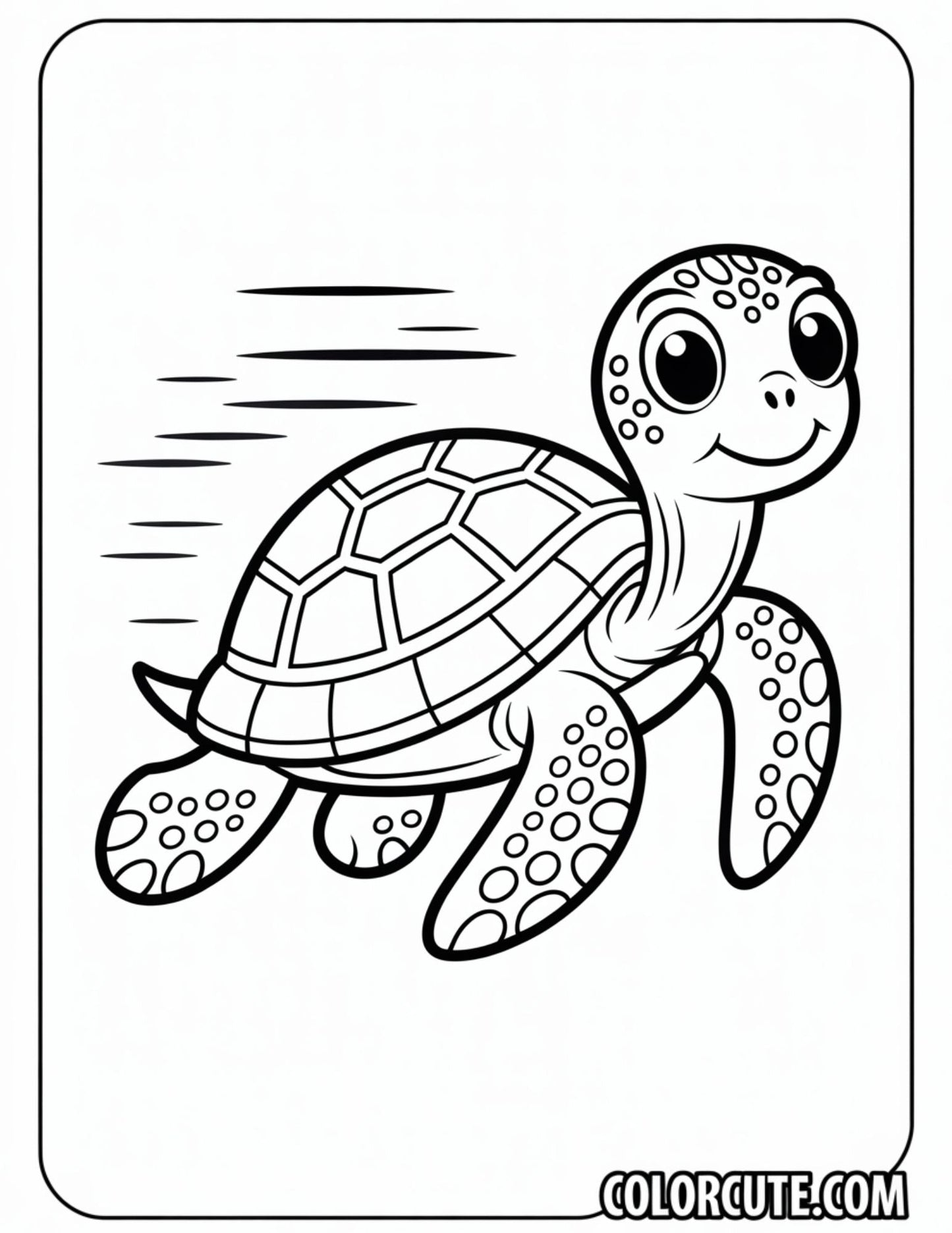 Slow Turtle Coloring Pages | Free PDF Printables