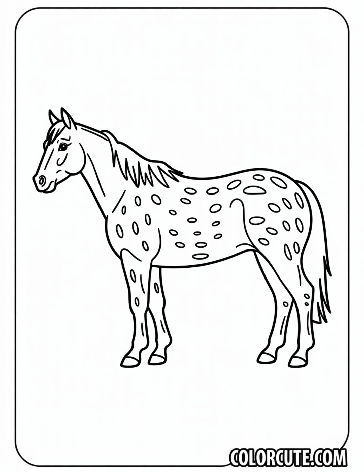 Appaloosa Horse Coloring Pages | Free PDF Printables