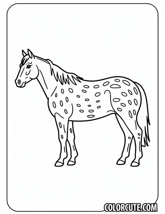 Appaloosa Horse Coloring Pages | Free PDF Printables