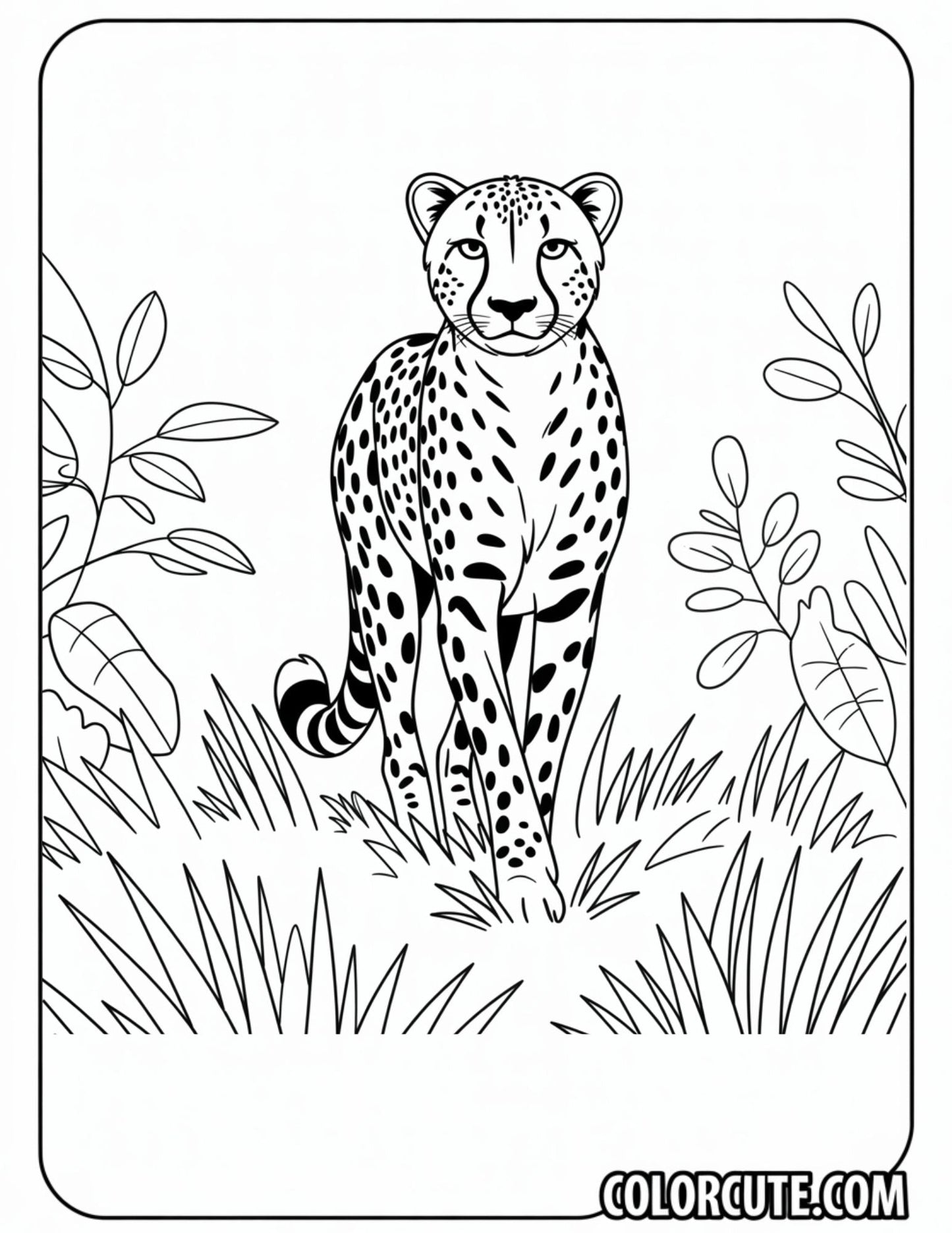 Cheetah Safari Coloring Pages | Free PDF Printables