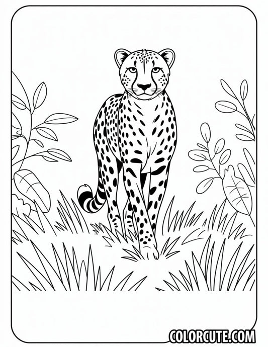 Cheetah Safari Coloring Pages | Free PDF Printables