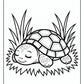 Sleeping Turtle Coloring Pages | Free PDF Printables