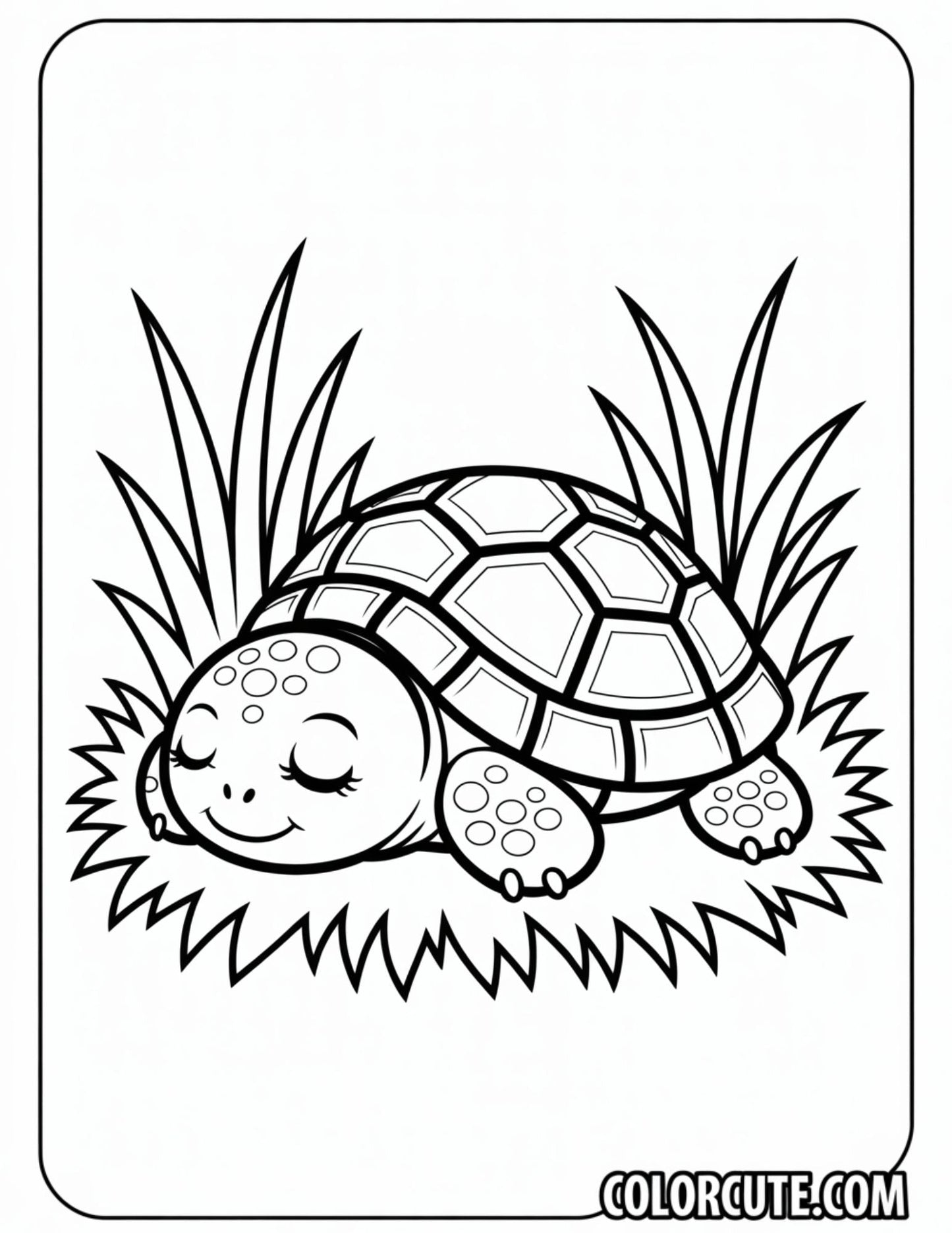 Sleeping Turtle Coloring Pages | Free PDF Printables