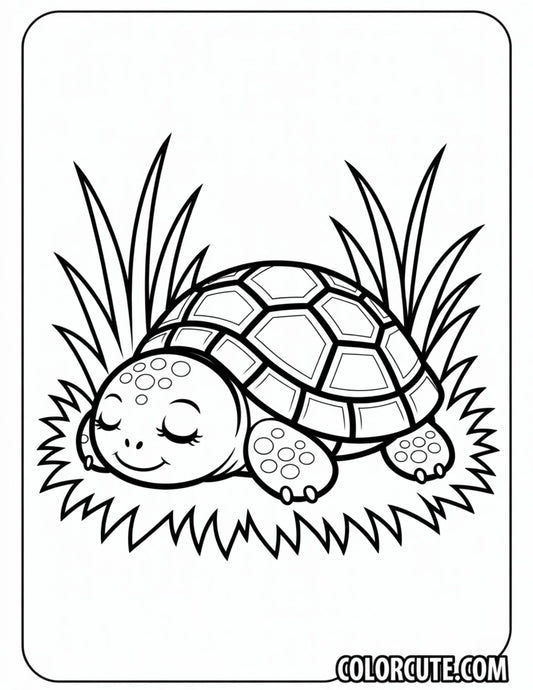 Sleeping Turtle Coloring Pages | Free PDF Printables