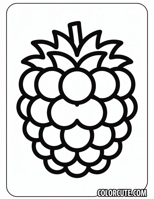 Blackberry Coloring Page | Free PDF Printables